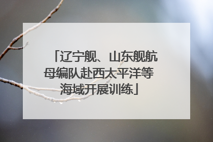 辽宁舰、山东舰航母编队赴西太平洋等海域开展训练