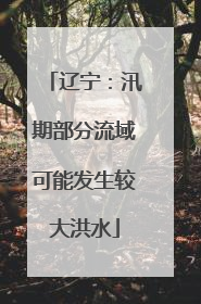 辽宁：汛期部分流域可能发生较大洪水