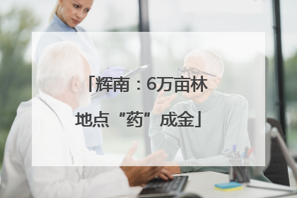 辉南：6万亩林地点“药”成金