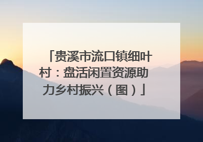 贵溪市流口镇细叶村：盘活闲置资源助力乡村振兴（图）