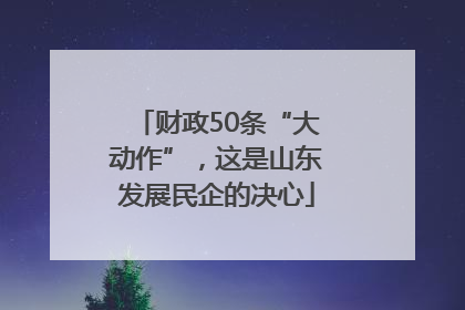 财政50条“大动作”，这是山东发展民企的决心