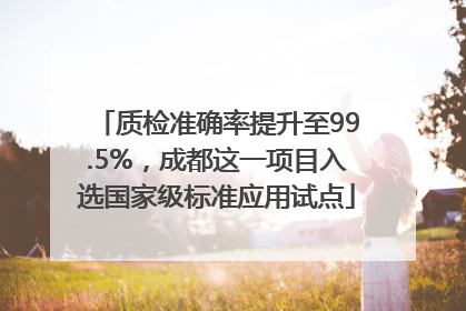 质检准确率提升至99.5%，成都这一项目入选国家级标准应用试点