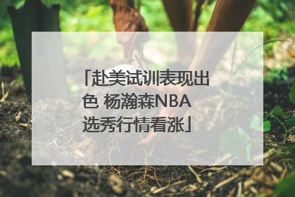 赴美试训表现出色 杨瀚森NBA选秀行情看涨