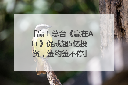 赢！总台《赢在AI+》促成超5亿投资，签约签不停