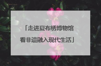 走进夏布绣博物馆 看非遗融入现代生活