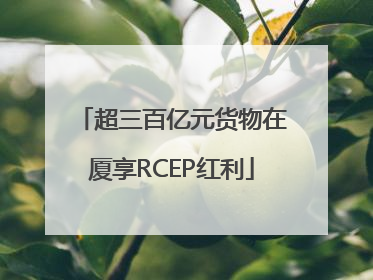 超三百亿元货物在厦享RCEP红利