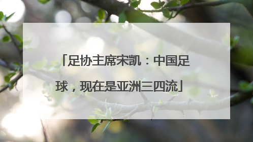 足协主席宋凯：中国足球，现在是亚洲三四流