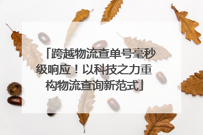 跨越物流查单号毫秒级响应！以科技之力重构物流查询新范式