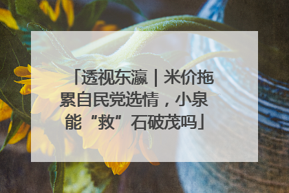 透视东瀛｜米价拖累自民党选情，小泉能“救”石破茂吗