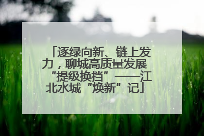 逐绿向新、链上发力，聊城高质量发展“提级换挡”——江北水城“焕新”记