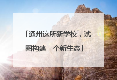 通州这所新学校，试图构建一个新生态