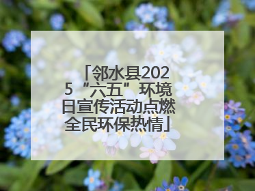 邻水县2025“六五”环境日宣传活动点燃全民环保热情