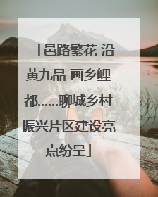 邑路繁花 沿黄九品 画乡鲤都……聊城乡村振兴片区建设亮点纷呈