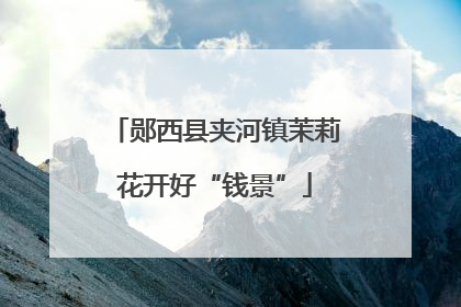 郧西县夹河镇茉莉花开好“钱景”