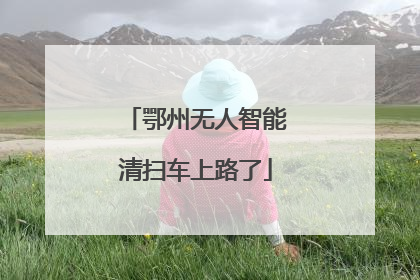 鄂州无人智能清扫车上路了