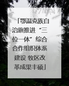 鄂温克族自治旗推进“三位一体”综合合作组织体系建设 牧区改革成果丰硕
