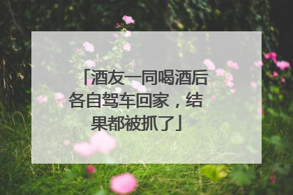 酒友一同喝酒后各自驾车回家，结果都被抓了