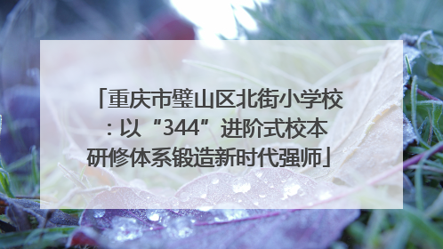 重庆市璧山区北街小学校：以“344”进阶式校本研修体系锻造新时代强师