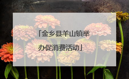 金乡县羊山镇举办促消费活动