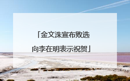 金文洙宣布败选 向李在明表示祝贺