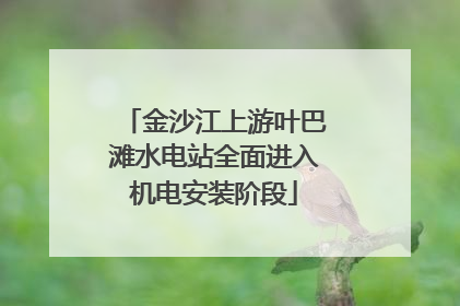 金沙江上游叶巴滩水电站全面进入机电安装阶段