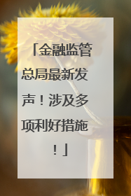 金融监管总局最新发声！涉及多项利好措施！