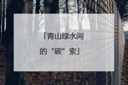 青山绿水间的“碳”索