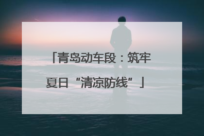 青岛动车段：筑牢夏日“清凉防线”