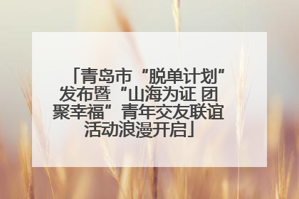 青岛市“脱单计划”发布暨“山海为证 团聚幸福”青年交友联谊活动浪漫开启