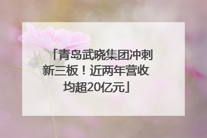青岛武晓集团冲刺新三板！近两年营收均超20亿元