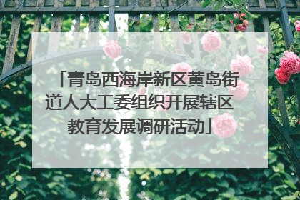 青岛西海岸新区黄岛街道人大工委组织开展辖区教育发展调研活动