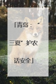 青岛：“三夏”护农话安全
