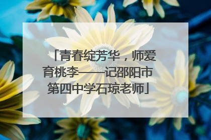 青春绽芳华，师爱育桃李——记邵阳市第四中学石琼老师