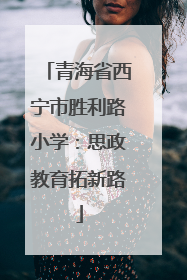 青海省西宁市胜利路小学：思政教育拓新路