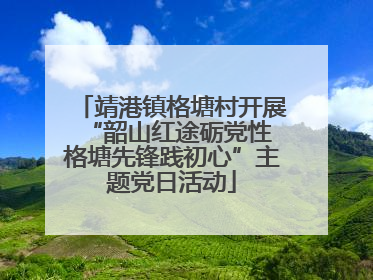 靖港镇格塘村开展“韶山红途砺党性 格塘先锋践初心”主题党日活动