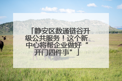 静安区数通链谷升级公共服务！这个新中心将帮企业做好“开门四件事”