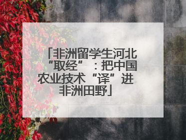 非洲留学生河北“取经”：把中国农业技术“译”进非洲田野