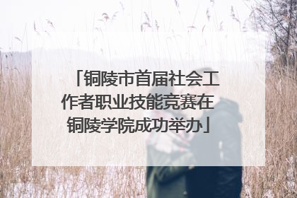 铜陵市首届社会工作者职业技能竞赛在铜陵学院成功举办