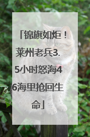 锦旗如炬！莱州老兵3.5小时怒海46海里抢回生命