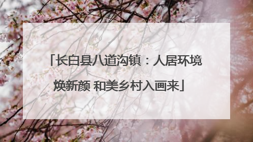 长白县八道沟镇：人居环境焕新颜 和美乡村入画来