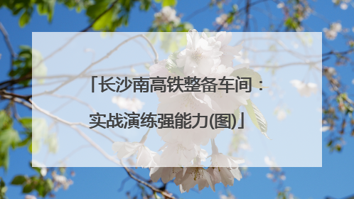 长沙南高铁整备车间：实战演练强能力(图)
