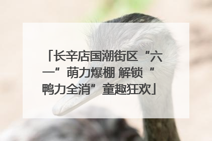 长辛店国潮街区“六一”萌力爆棚 解锁“鸭力全消”童趣狂欢