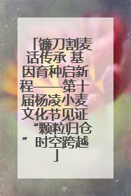 镰刀割麦话传承 基因育种启新程——第十届杨凌小麦文化节见证“颗粒归仓”时空跨越