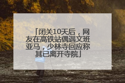 闭关10天后，网友在高铁站偶遇文班亚马，少林寺回应称其已离开寺院