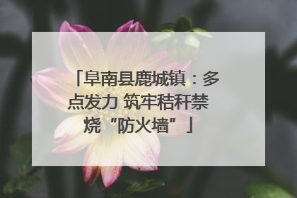 阜南县鹿城镇：多点发力 筑牢秸秆禁烧“防火墙”