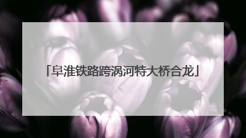 阜淮铁路跨涡河特大桥合龙