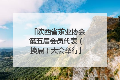 陕西省茶业协会第五届会员代表（换届）大会举行