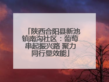 陕西合阳县新池镇南沟社区：葡萄串起振兴路 聚力同行显效能