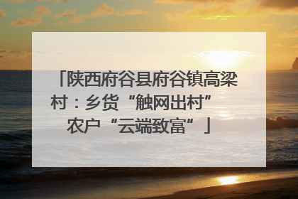 陕西府谷县府谷镇高梁村：乡货“触网出村” 农户“云端致富”