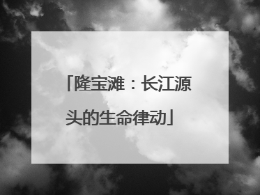 隆宝滩：长江源头的生命律动